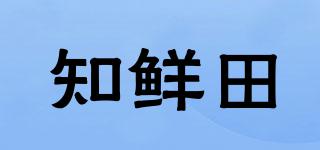 知鮮田品牌logo
