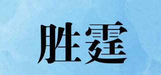 勝霆品牌logo