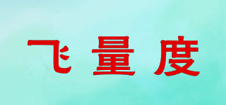 飛量度品牌logo