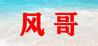 風哥品牌logo