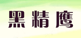 黑精鷹品牌logo
