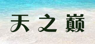 天之巔品牌logo