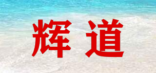 輝道品牌logo