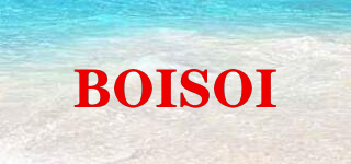 BOISOI品牌logo