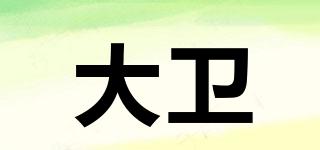DW/大衛(wèi)品牌logo