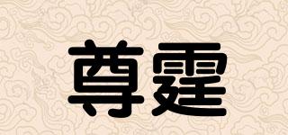 尊霆品牌logo