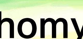homy品牌logo