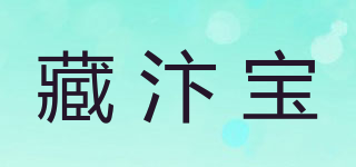 藏汴寶品牌logo