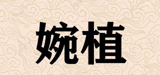婉植品牌logo