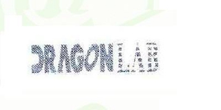 Dragonlab品牌logo
