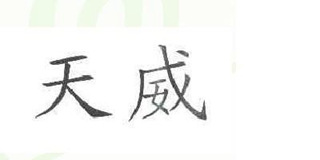 天威品牌logo