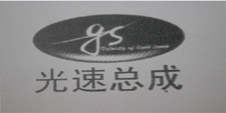 velacity of light lamp gs/光速總成品牌logo