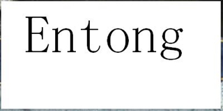 Entong品牌logo