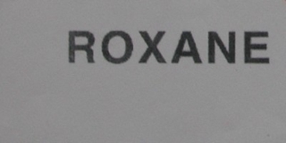 ROXANE/視睿品牌logo