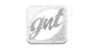gnt品牌logo