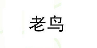 老鳥品牌logo