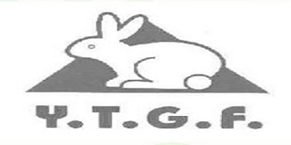 Y．T．G．F．品牌logo