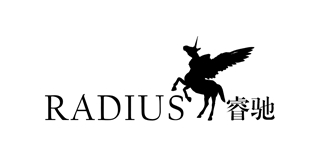 睿馳品牌logo