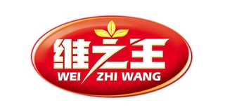 維之王品牌logo