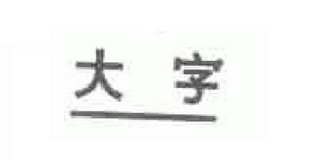 大字品牌logo