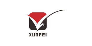 迅飛品牌logo