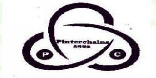Pinterchains/品特鏈條品牌logo