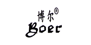 博爾品牌logo