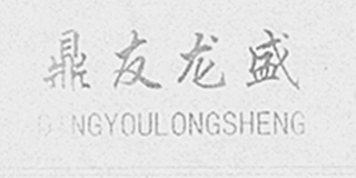 鼎友龍盛 DINGYOULONGSHENG品牌logo