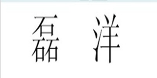 磊洋品牌logo