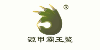 源水源甲品牌logo