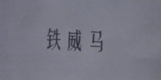 TERRA MASTER/鐵威馬品牌logo
