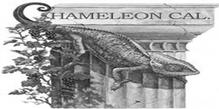 cen Chameleon/變色龍品牌logo