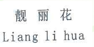靚麗花品牌logo