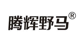 騰輝野馬品牌logo