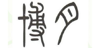 博月品牌logo