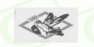 DOVE/鴿品牌logo