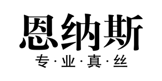 ERNUST/恩納斯品牌logo