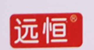 遠(yuǎn)恒品牌logo