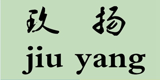 玖揚品牌logo