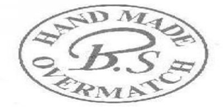 B．S品牌logo