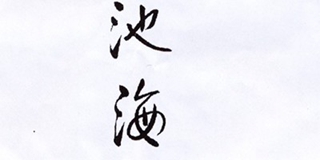 池海品牌logo
