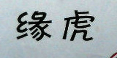 緣虎品牌logo