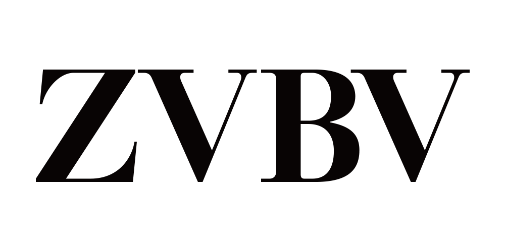 zvbv品牌logo