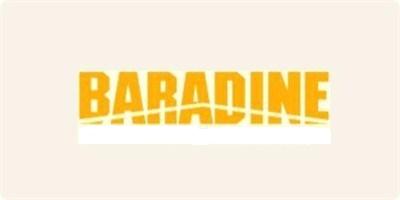 BARADINE品牌logo