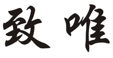 致唯品牌logo