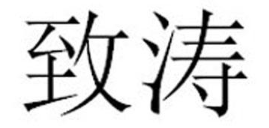 致濤品牌logo
