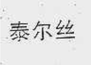 泰爾絲品牌logo