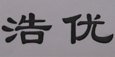 浩優(yōu)品牌logo