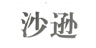 Sasey/沙遜品牌logo