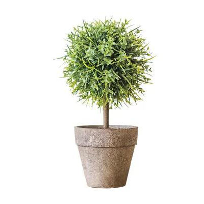 盆栽花卉室內(nèi)十大牌子排行榜